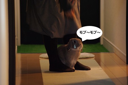 あ4