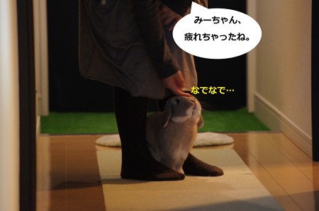 あ5