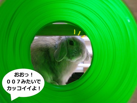 い2