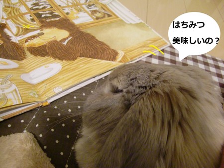 夜は2
