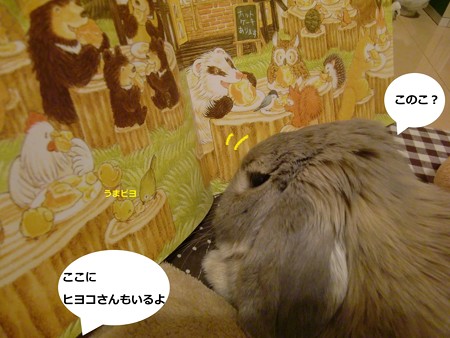 夜は3