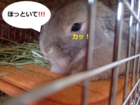 あ6