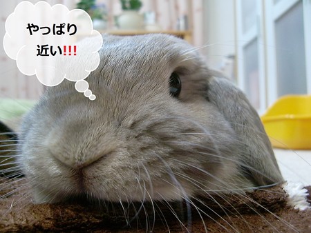 あ3
