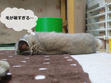 あ3