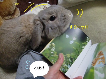虫3