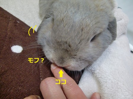 レスキュー2