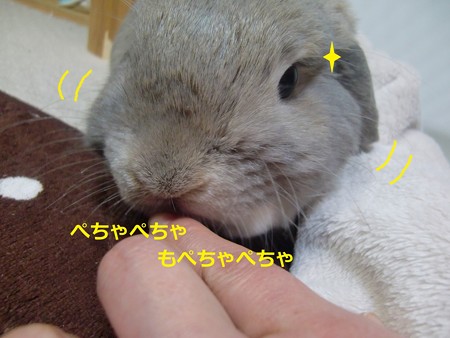 レスキュー3