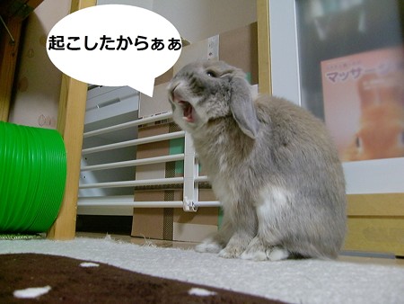 あ5