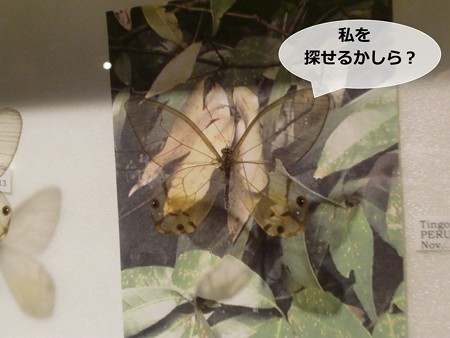 あ5