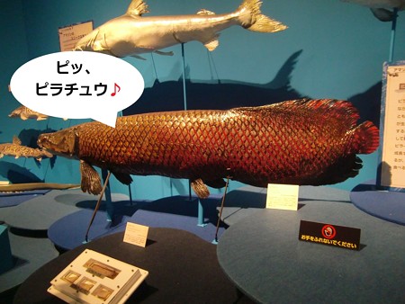 あ7
