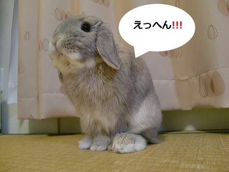 あ11