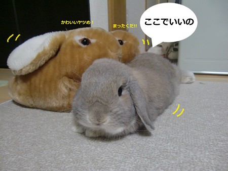 暑いかな1