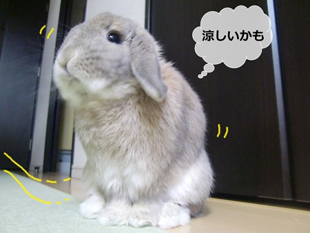 暑いかな2
