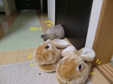 暑いかな3