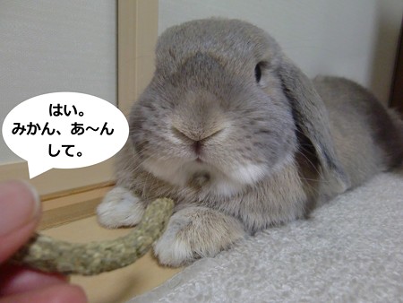 あ3