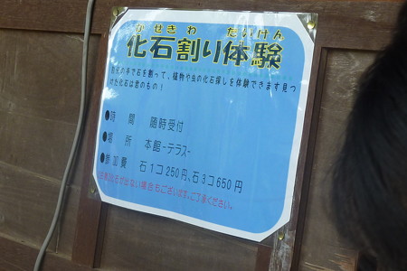P1090293