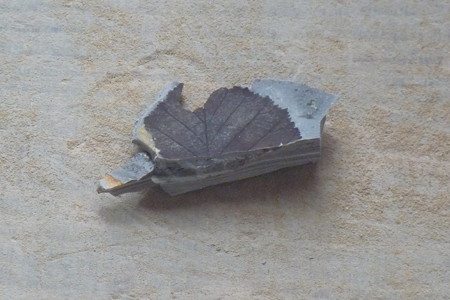 P1090301