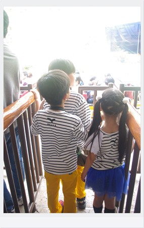 IMGP3584-1
