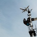 Photos: 信号機と飛行機