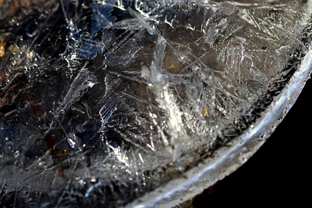 Photos: 氷の結晶６