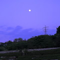 Photos: 大乗寺丘陵公園のツツジと月